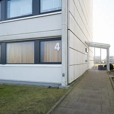 Stranddistel 4 Fernblick