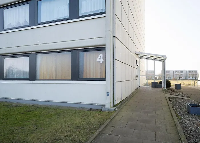 Stranddistel 4 Fernblick